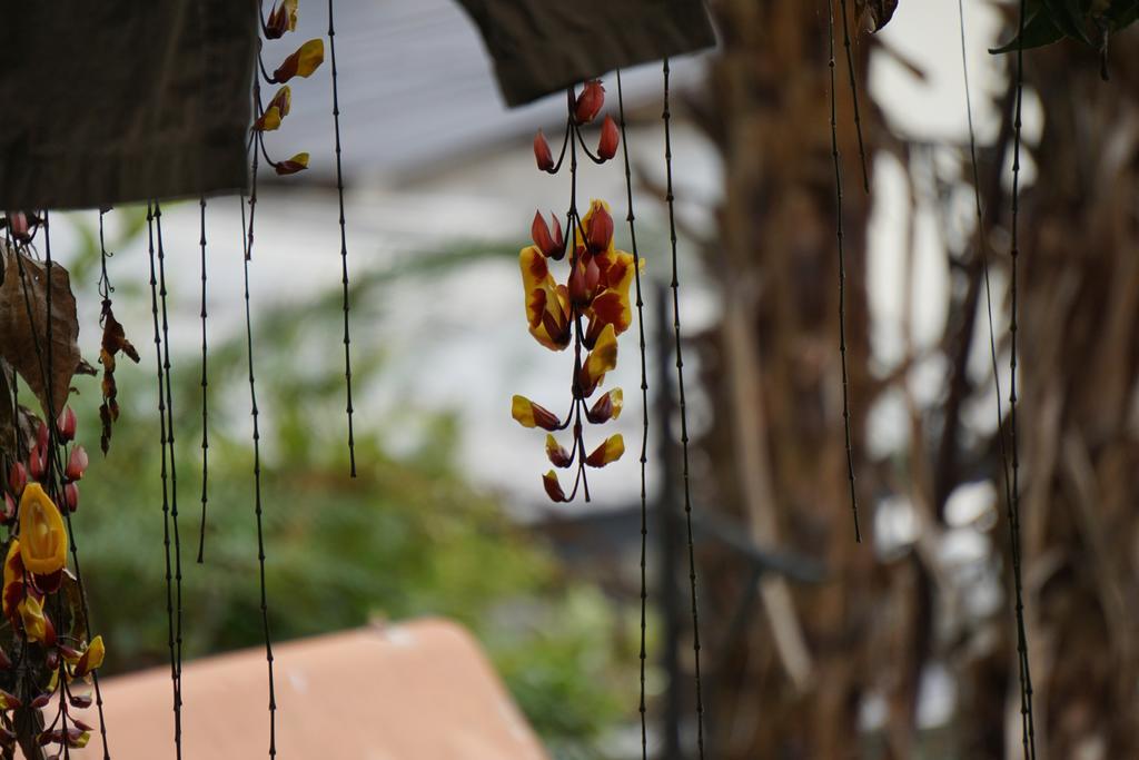 Mountain House Manizales Ngoại thất bức ảnh