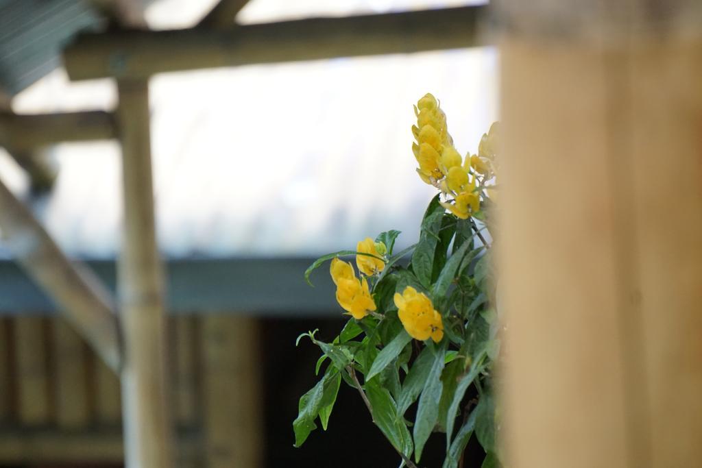 Mountain House Manizales Ngoại thất bức ảnh